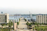 威廉希尔williamhill,油茶莳植生产加工销售,植物油莳植生产加工销售