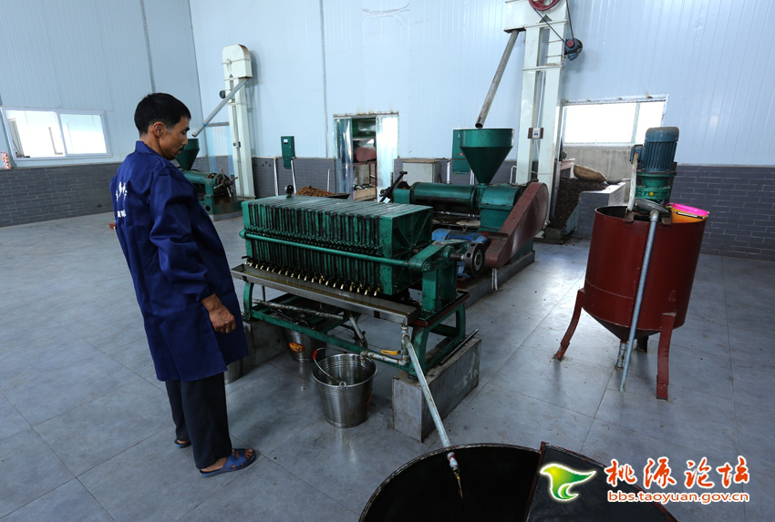 威廉希尔williamhill,油茶莳植生产加工销售,植物油莳植生产加工销售