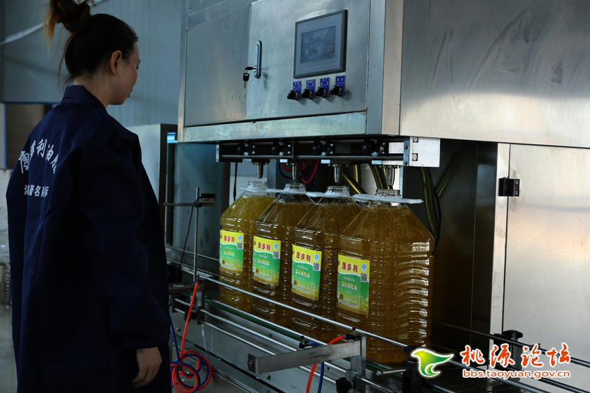 威廉希尔williamhill,油茶莳植生产加工销售,植物油莳植生产加工销售