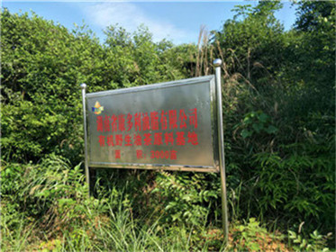 威廉希尔williamhill,油茶莳植生产加工销售,植物油莳植生产加工销售